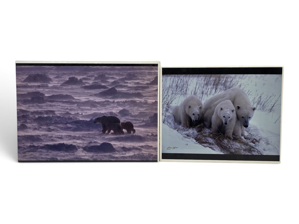 Johnny Johnson "Polar Bear w/ Cubs" & Other Polar Bear Artist's Proof Photographs