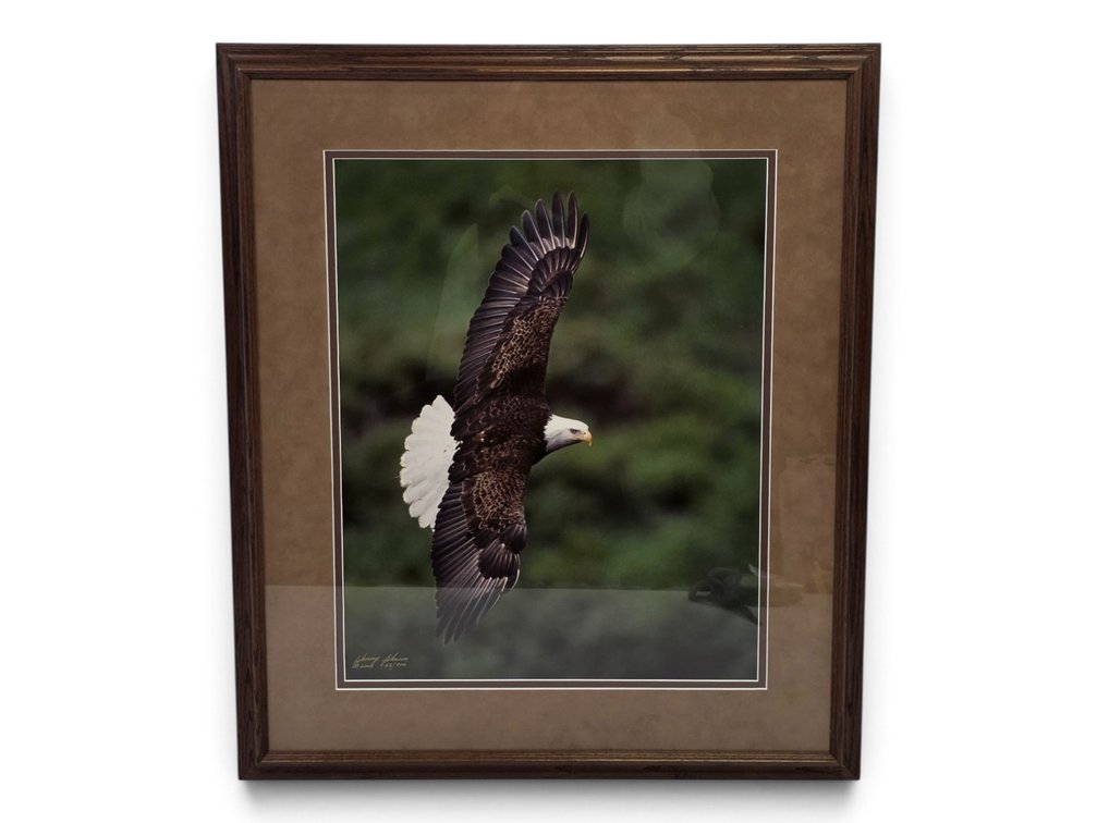 Johnny Johnson "Wind Dancer" Photograph