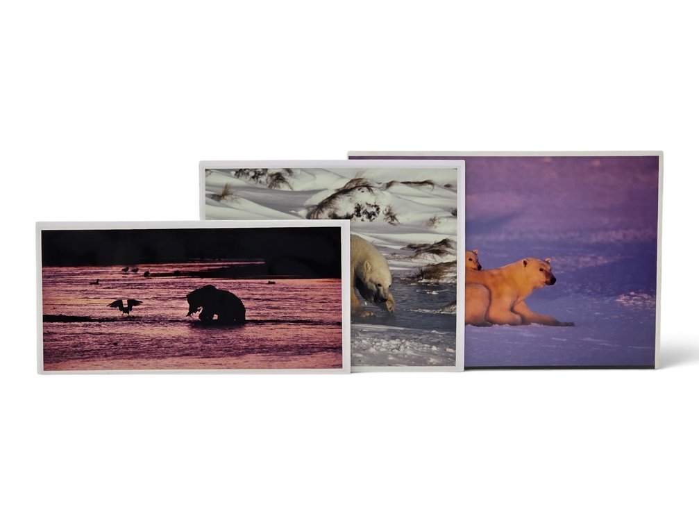 Johnny Johnson "River Dance", "Courage" & "Polar Dawn" Photographs
