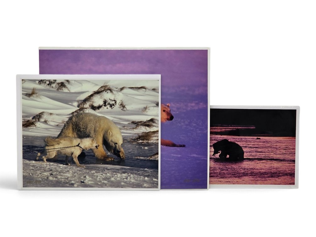 Johnny Johnson "Courage", "Polar Dawn" & "River Dance" Photographs