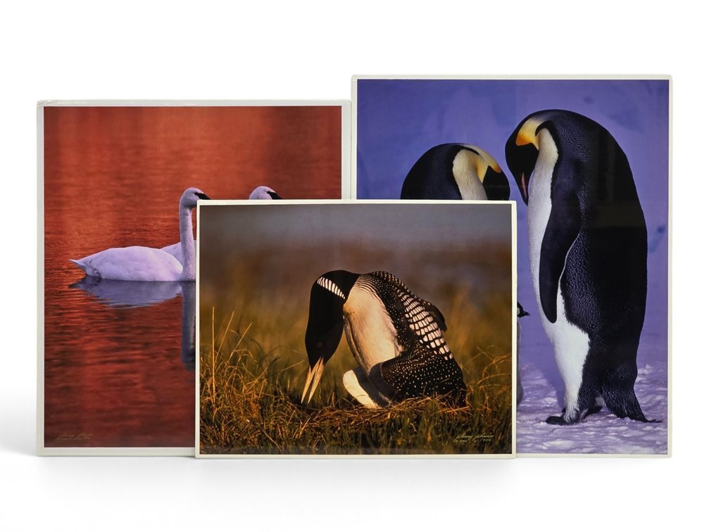 Johnny Johnson "Soul Mates", "Circle of Life" & "King of the Loons" Photographs