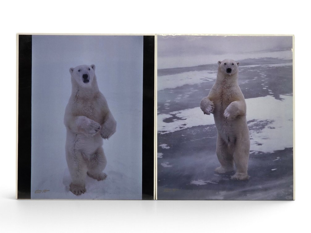 Johnny Johnson "Polar Bear Standing" Artist's Proof Photographs