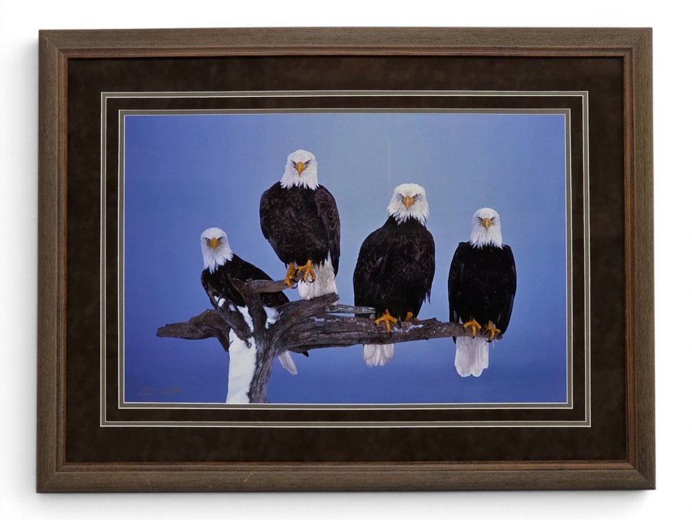 Johnny Johnson "United We Stand" Photograph