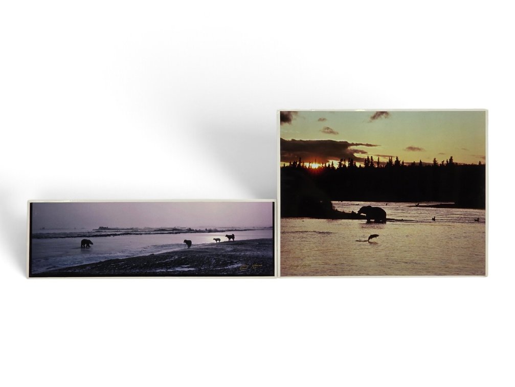 Johnny Johnson Polar Bear & Sled Dog Landscape & "Brown Bear Silhouette" Artist's Proof Photographs