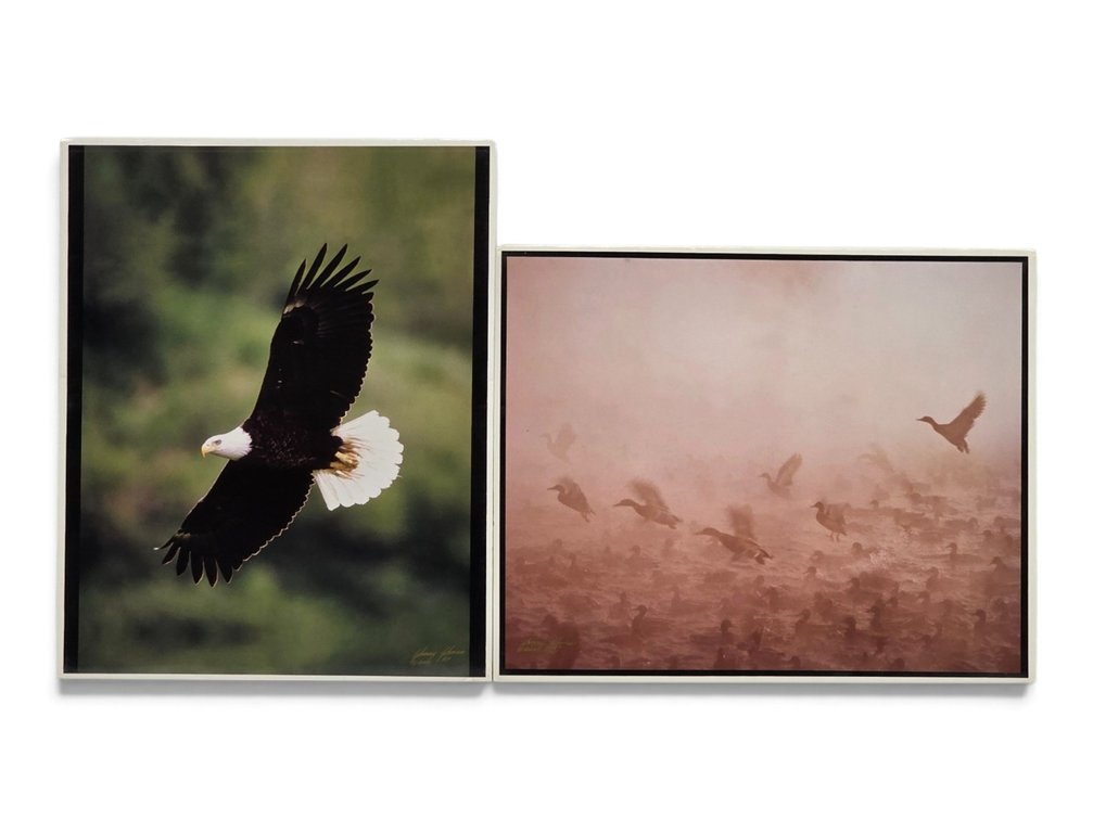 Johnny Johnson "Bald Eagle in Flight" & "Mallards in the Mist" Artist's Proof Photographs