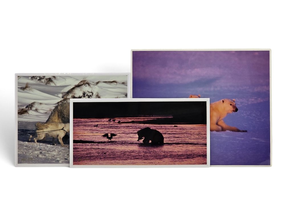 Johnny Johnson "Polar Dawn", "River Dance" & "Courage" Photographs