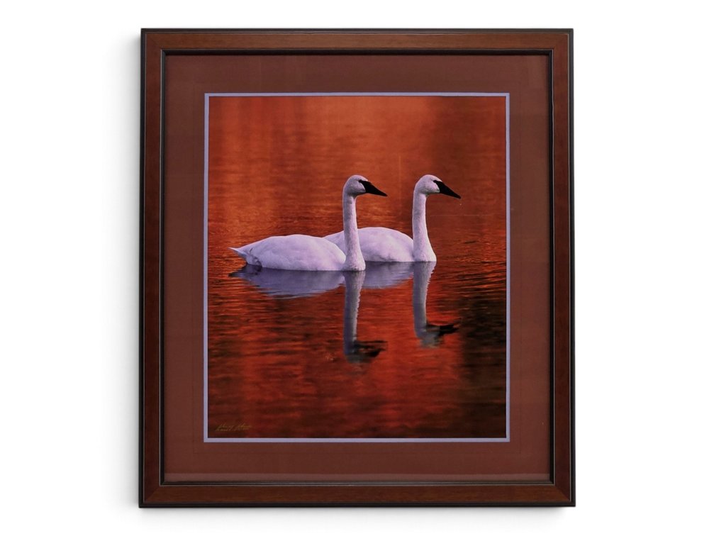 Johnny Johnson "Soul Mates" Photograph