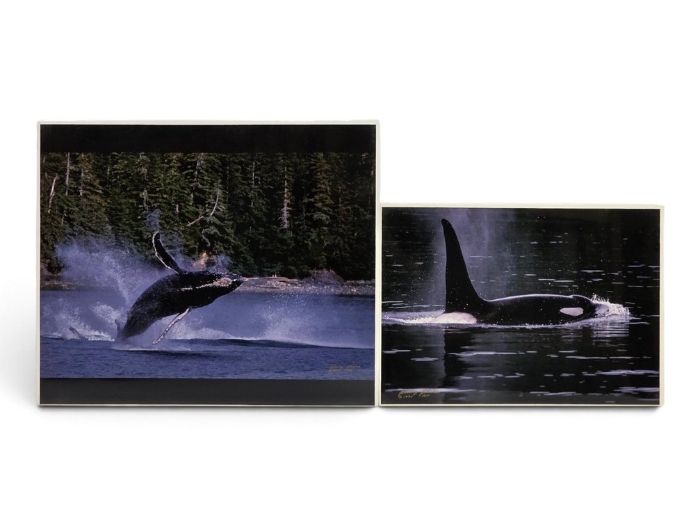Johnny Johnson "Humpback Whale" & "Killer Whale" Artist's Proof Photographs