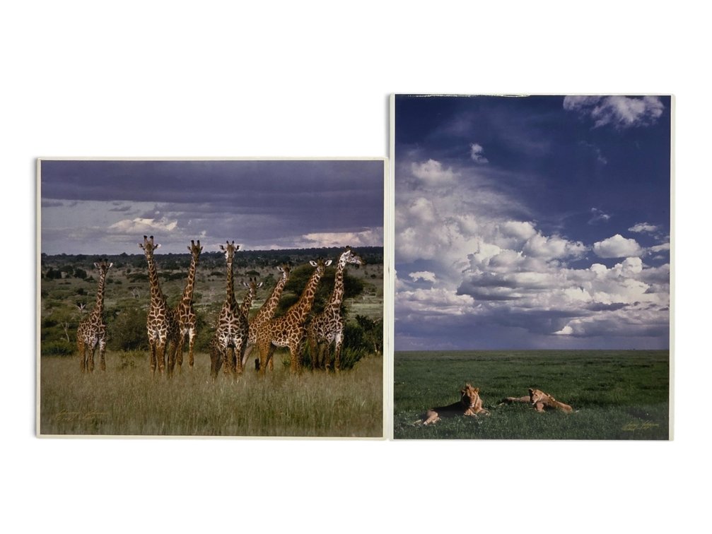 Johnny Johnson "Giraffe" & "Lion Pride" Artist's Proof Photographs