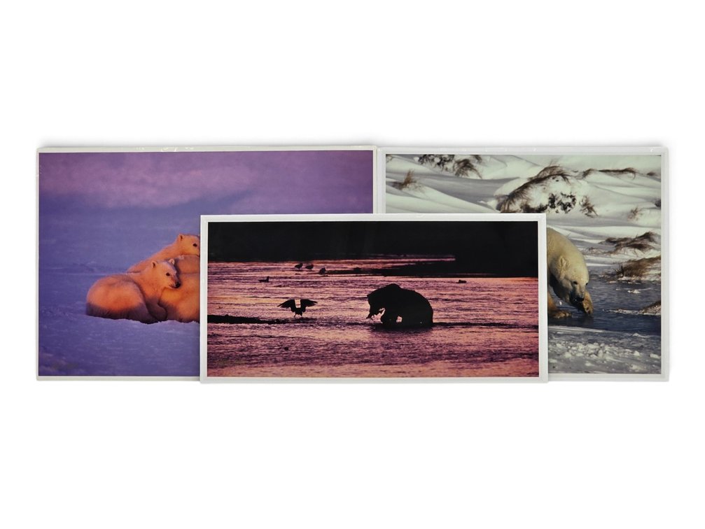 Johnny Johnson "Polar Dawn", "River Dance" & "Courage" Photographs