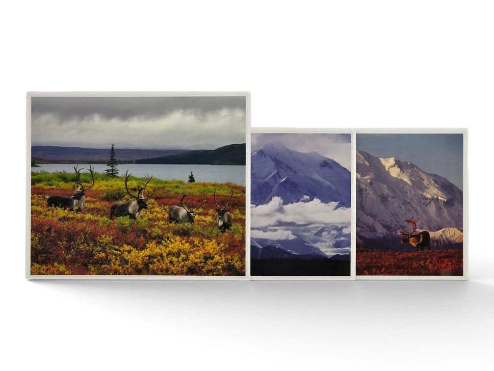 Johnny Johnson "First Light", "Spirit of Denali" & "Autumn Passage" Photographs