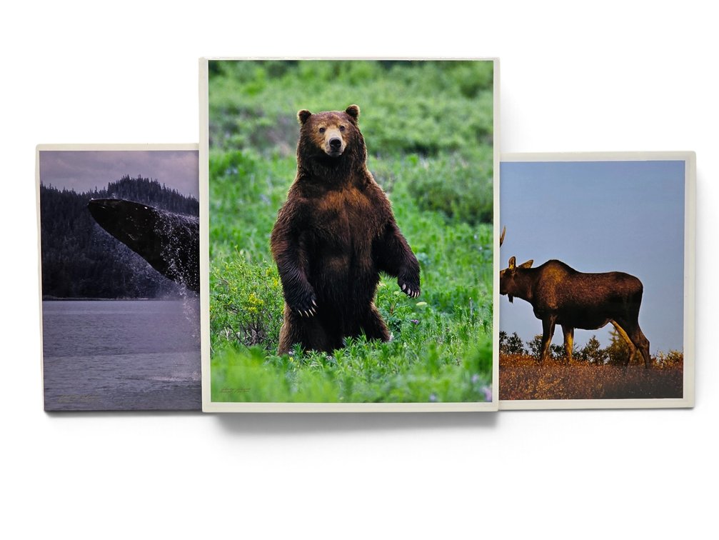 Johnny Johnson "Breach of Worlds", "In The Land Of Giants" & "Romancing the Dawn" Photographs