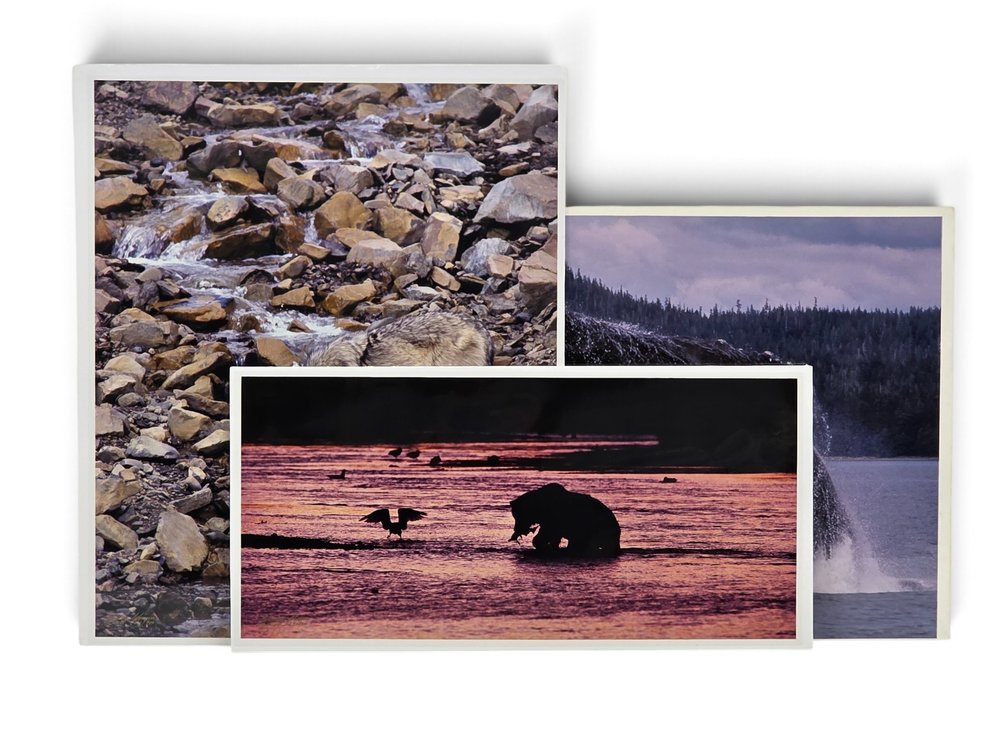 Johnny Johnson "Unseen Presence", "Breach of Worlds" & "River Dance" Photographs