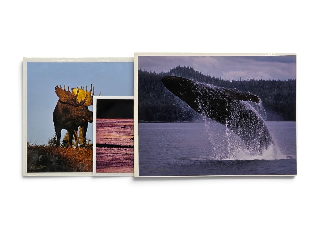 Johnny Johnson "Romancing the Dawn", "River Dance" & "Breach of Worlds" Photographs