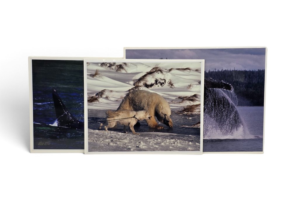Johnny Johnson "Sea Wolf", "Breach of Worlds" & "Courage" Photographs