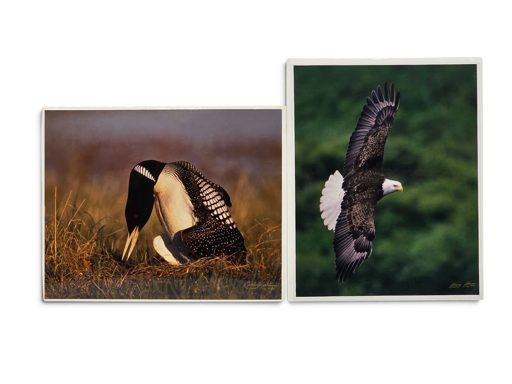 Johnny Johnson "Wind Dancer" & "King of the Loons" Photographs