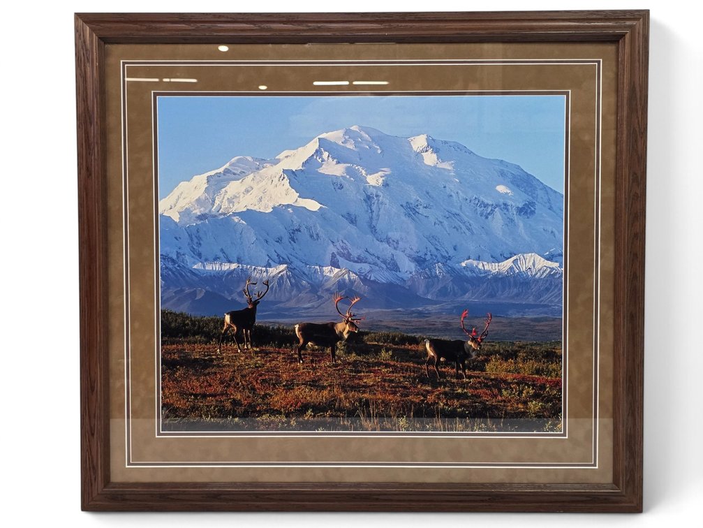 Johnny Johnson "Denali Greets the Dawn" Photograph
