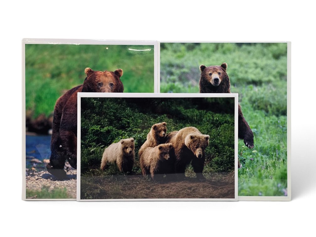Johnny Johnson "In Harm's Way", "In the Land of Giants" & "The Wild Bunch" Photographs