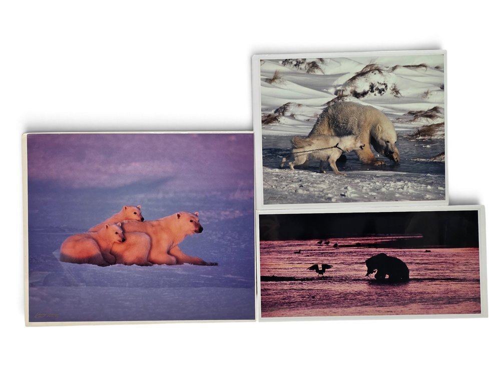 Johnny Johnson "Polar Dawn", "River Dance" & "Courage" Photographs