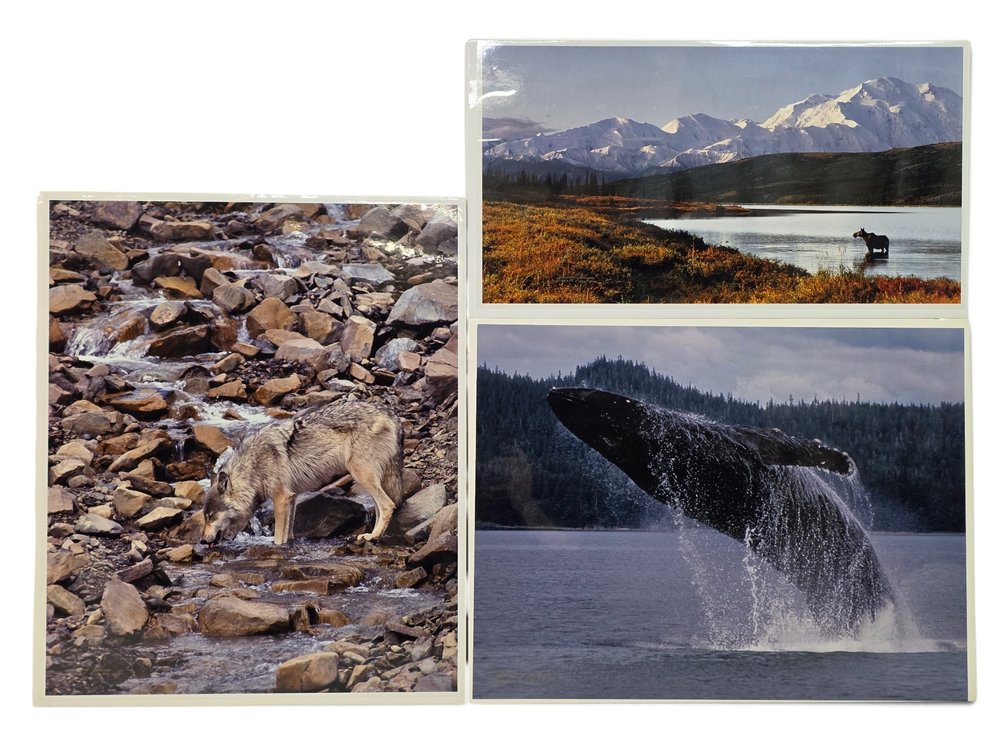 Johnny Johnson "Unseen Presence", "Wilderness of Denali" & "Breach of Worlds" Photographs