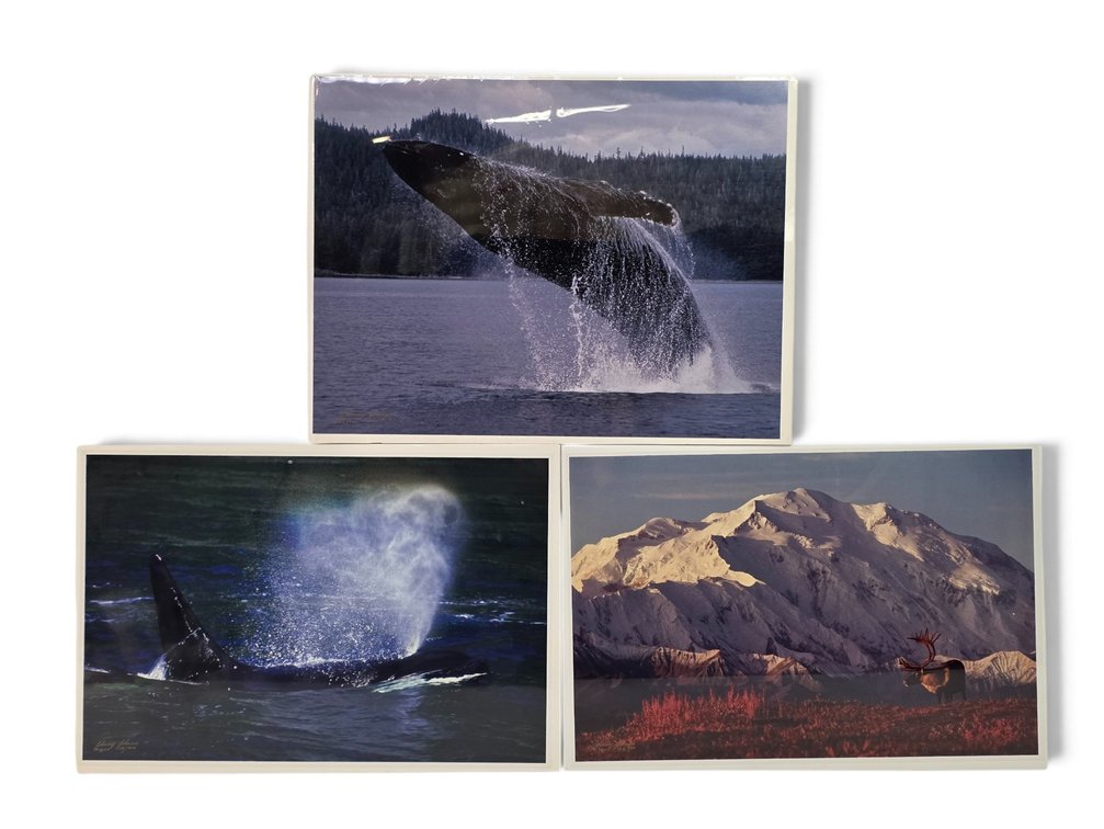 Johnny Johnson "Breach of Worlds", "Sea Wolf" & "First Light" Photographs