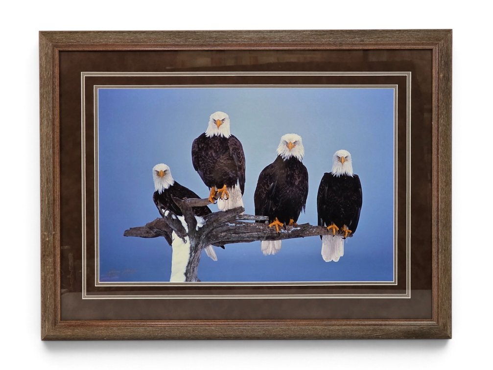 Johnny Johnson "United We Stand" Photograph