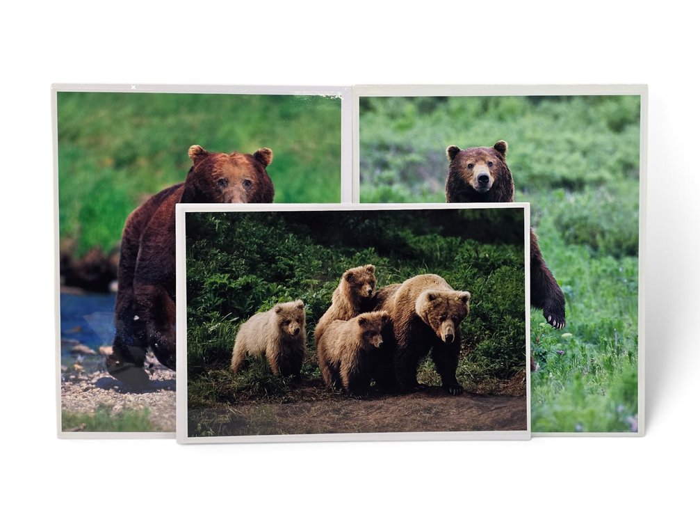 Johnny Johnson "In Harm's Way", "In the Land of Giants" & "The Wild Bunch" Photographs