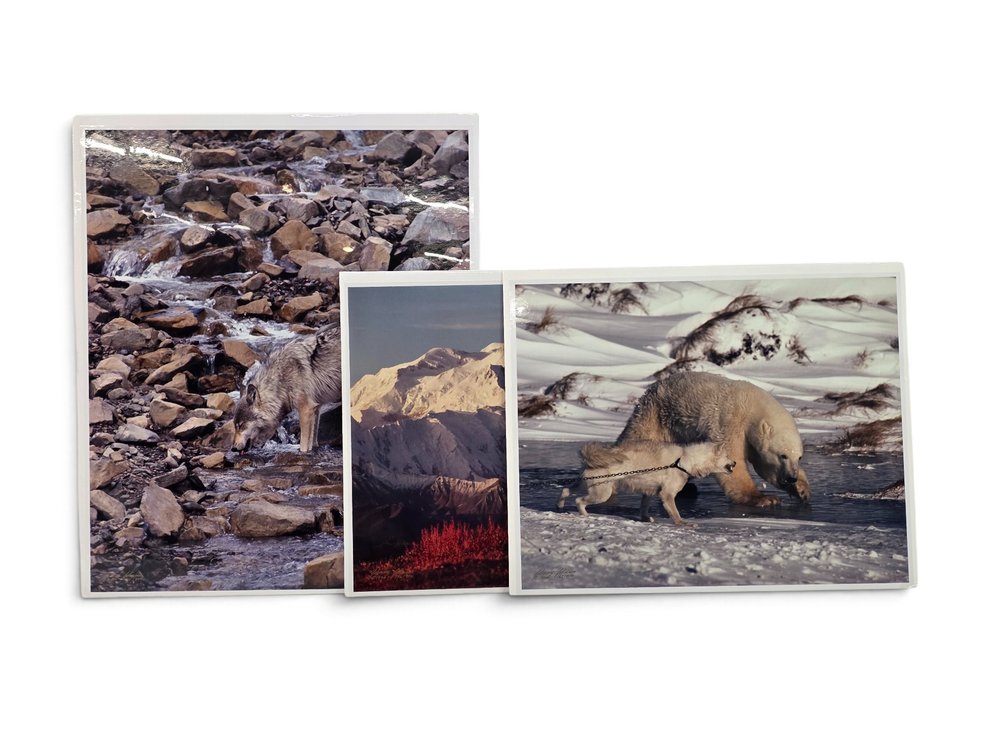 Johnny Johnson "Unseen Presence", "First Light" & "Courage" Photographs