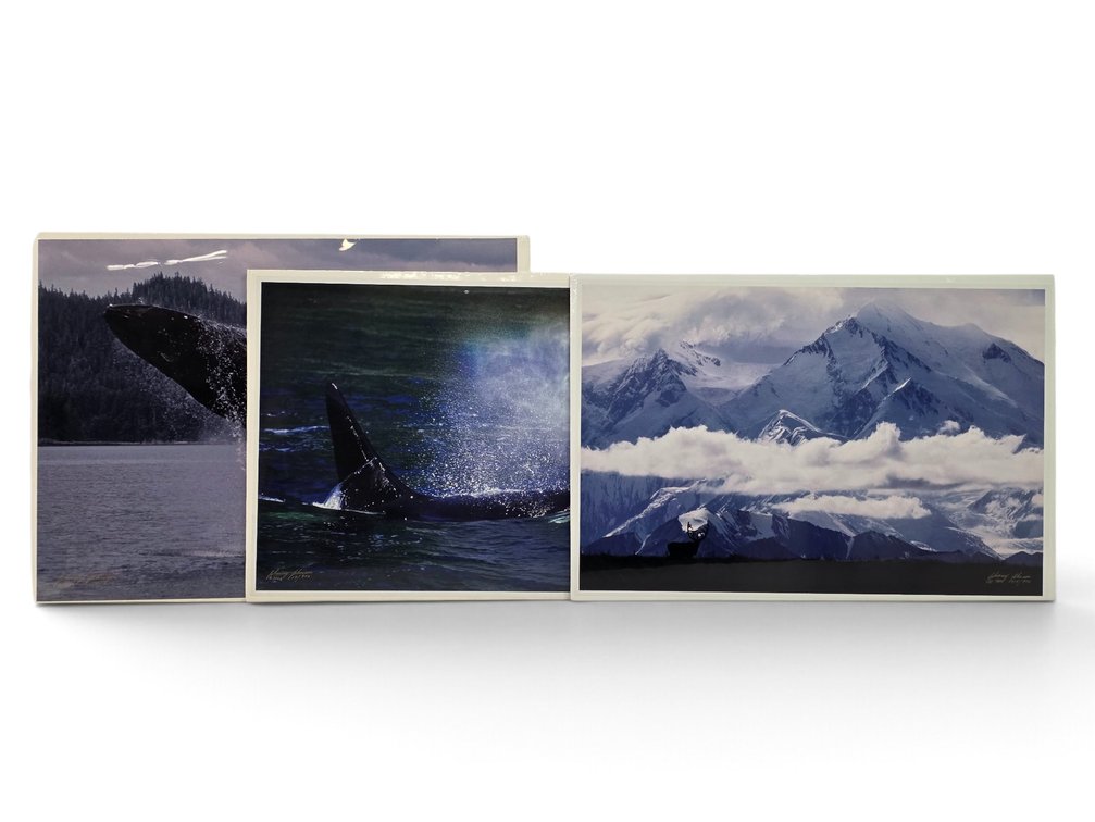 Johnny Johnson "Breach of Worlds", "Sea Wolf" & "Spirit of Denali" Photographs