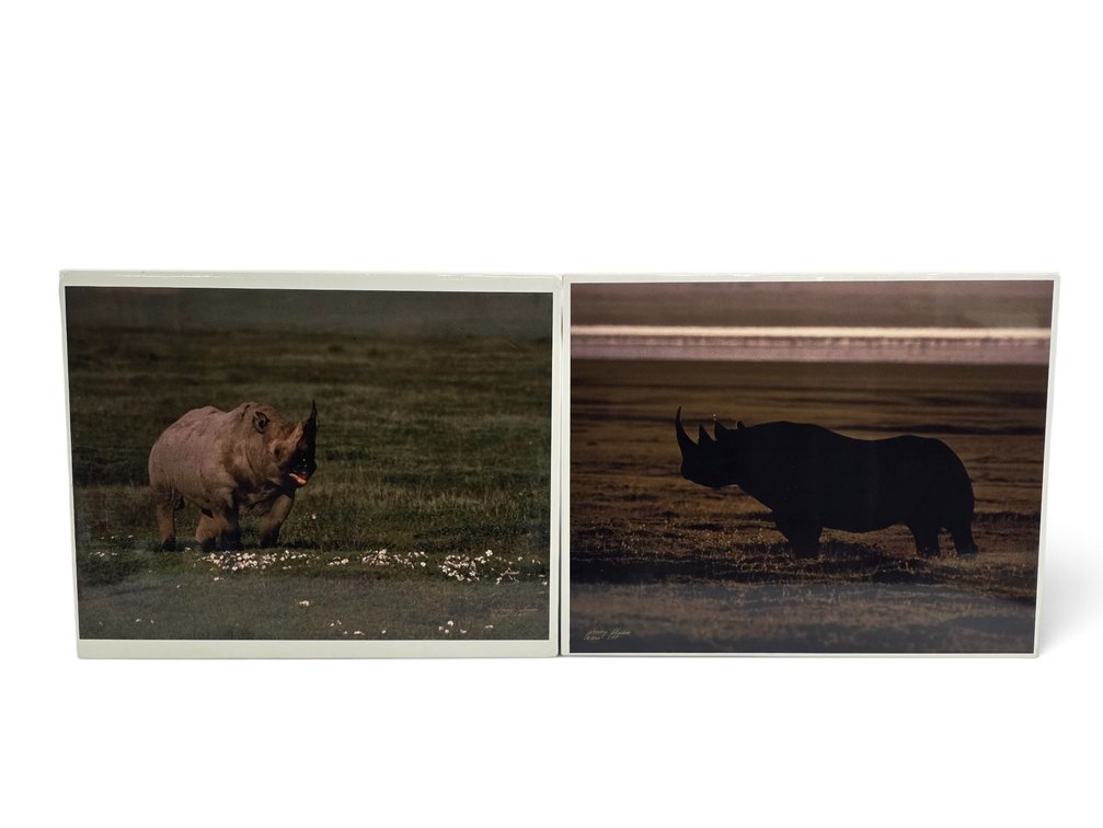 Johnny Johnson "Silhouette of Black Rhinoceros" & Untitled Artist's Proof Photographs