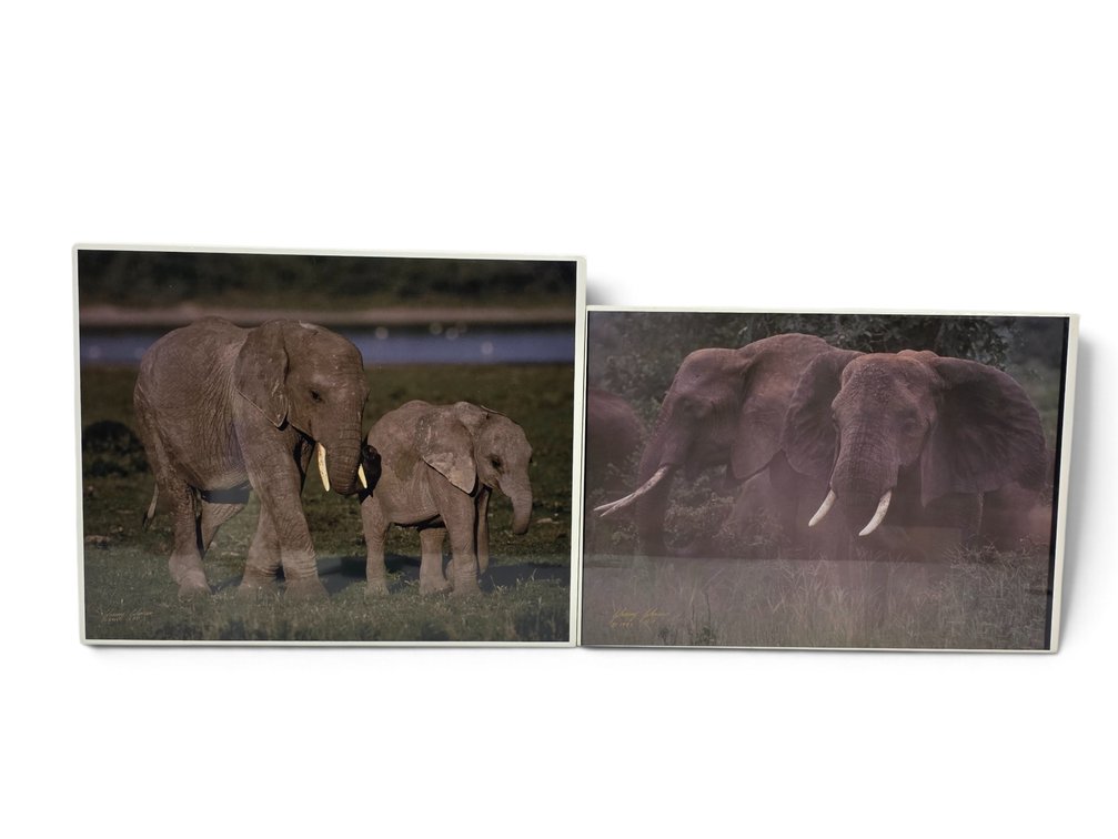Johnny Johnson "African Elephants" & "African Elephants Dusting" Artist's Proof Photographs