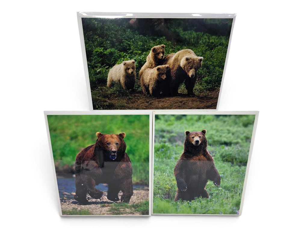 Johnny Johnson "In Harm's Way", "In the Land of Giants" & "The Wild Bunch" Photographs
