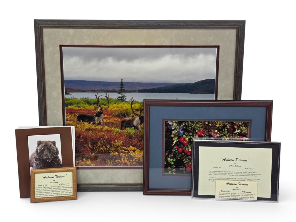 Johnny Johnson "Autumn Passage" & "Autumn Tundra" Photographs