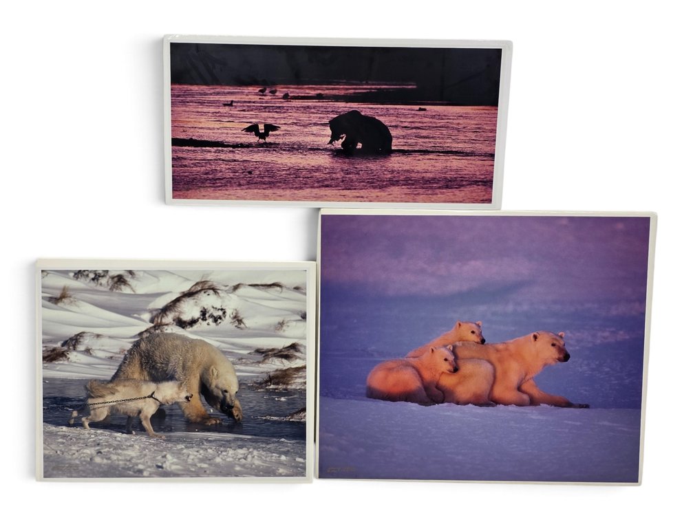 Johnny Johnson "Polar Dawn", "River Dance" & "Courage" Photographs