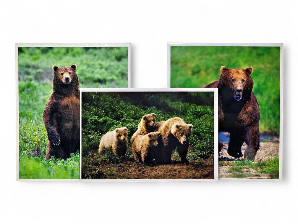 Johnny Johnson "In the Land of Giants", "The Wild Bunch" & "In Harm's Way" Photographs