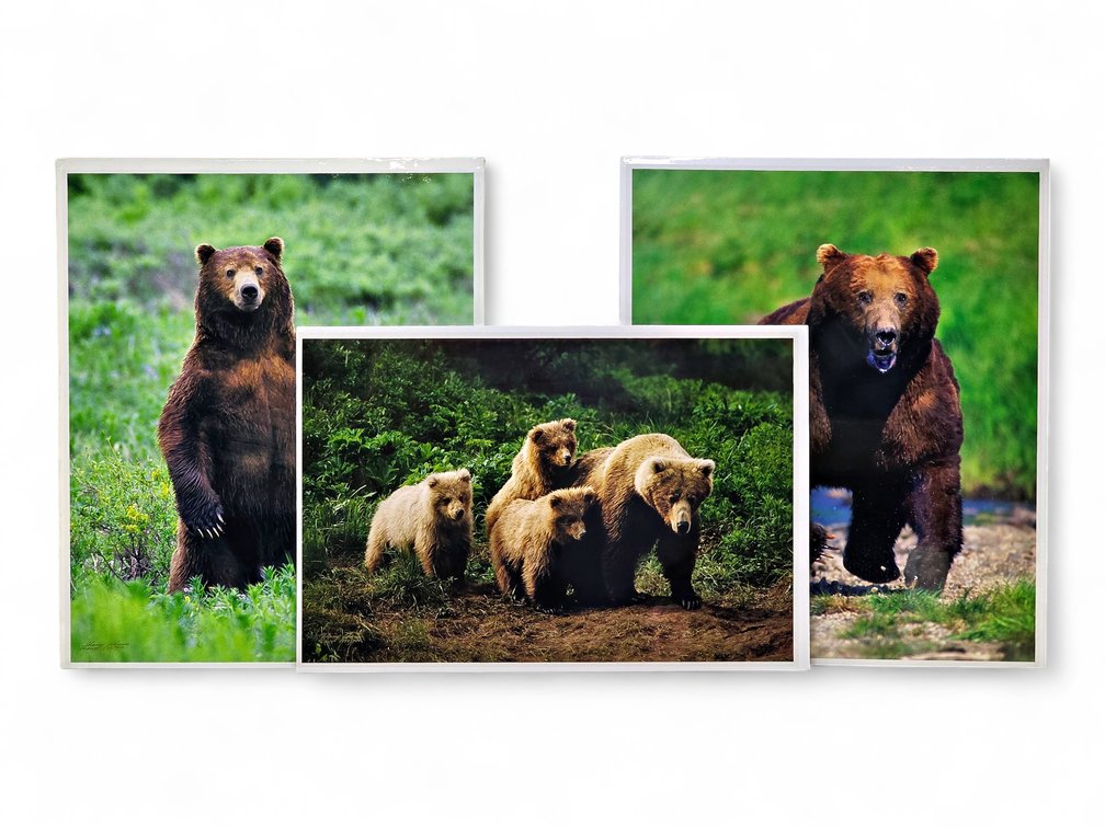 Johnny Johnson "In the Land of Giants", "The Wild Bunch" & "In Harm's Way" Photographs