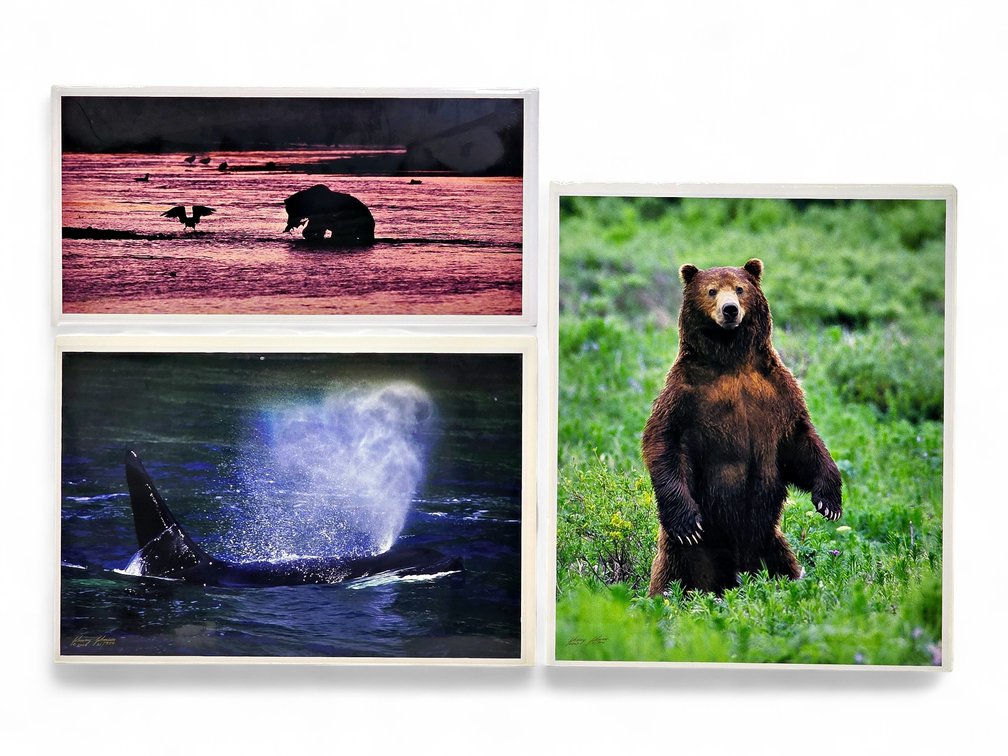 Johnny Johnson "River Dance", "Sea Wolf" & "In the Land of Giants" Photographs