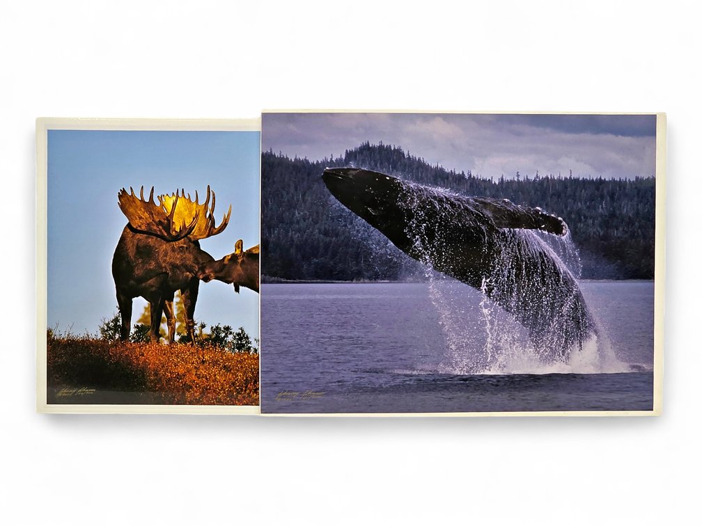 Johnny Johnson "Romancing the Dawn" & "Breach of Worlds" Photographs