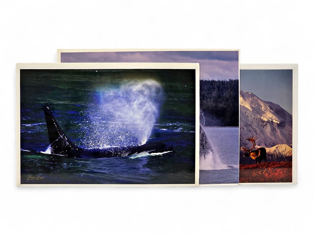 Johnny Johnson "Sea Wolf", "Breach of Worlds" & "First Light" Photographs