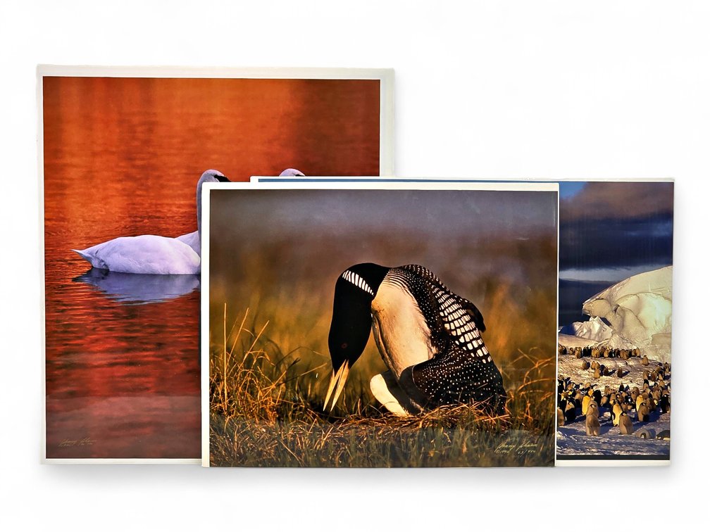 Johnny Johnson "Soul Mates", "King of the Loons" & "Frozen Eden" Photographs