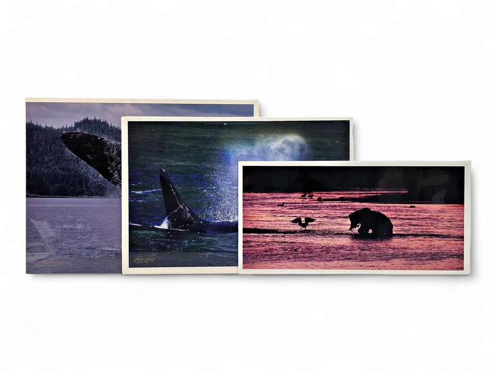 Johnny Johnson "Breach of Worlds", "Sea Wolf" & "River Dance" Photographs