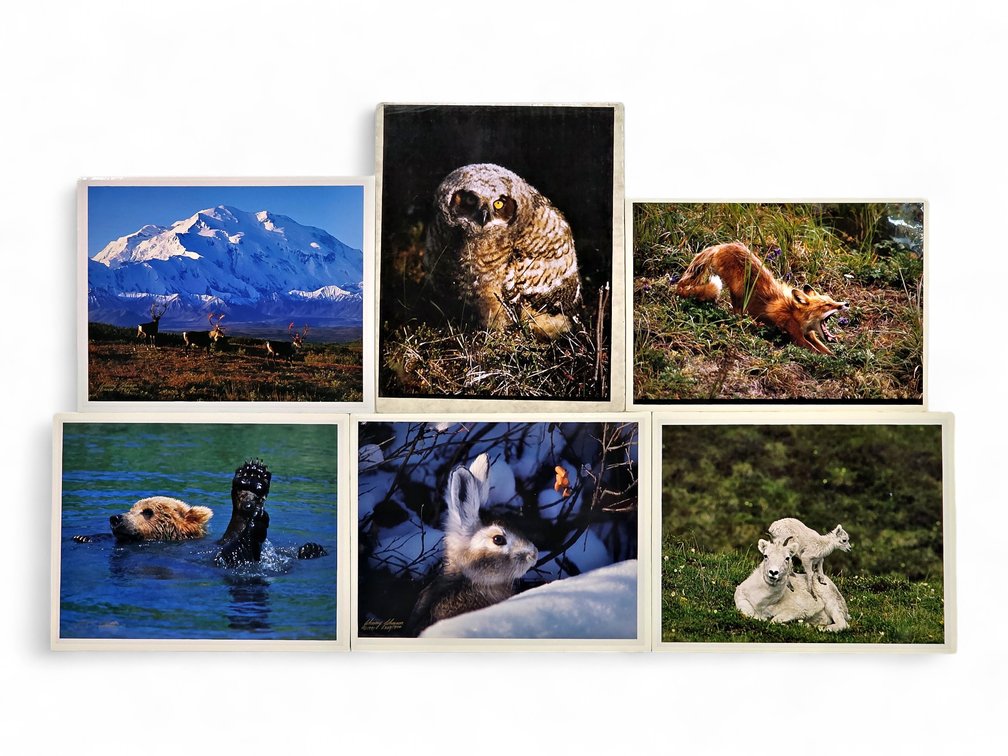 Johnny Johnson "Denali Greets the Dawn", "Splish Splash", "Lazy Day" Photographs & More