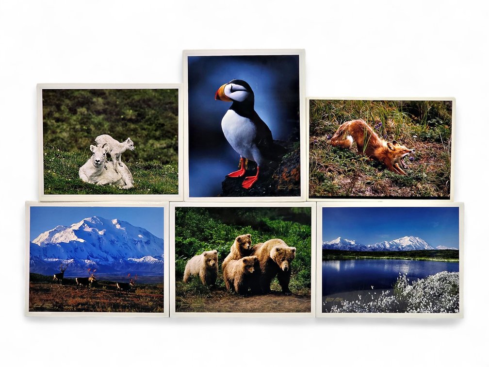 Johnny Johnson "Puffed Up", "Sacred Ground", "Denali Greets the Dawn" Photographs & More