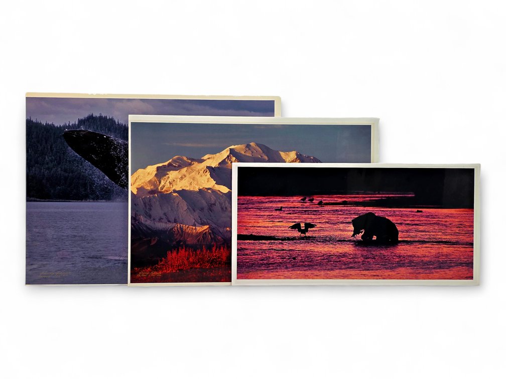 Johnny Johnson "Breach of Worlds", "First Light" & "River Dance" Photographs