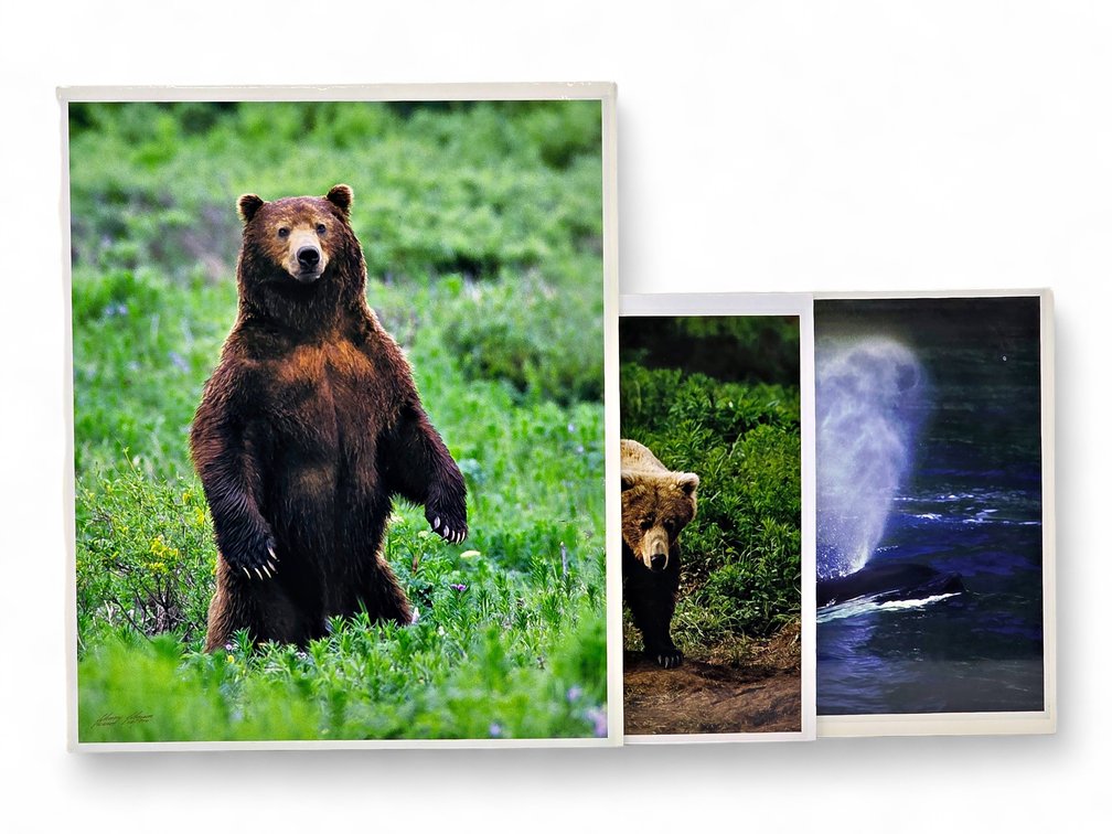 Johnny Johnson "In the Land of Giants", "Sea Wolf" & "The Wild Bunch" Photographs