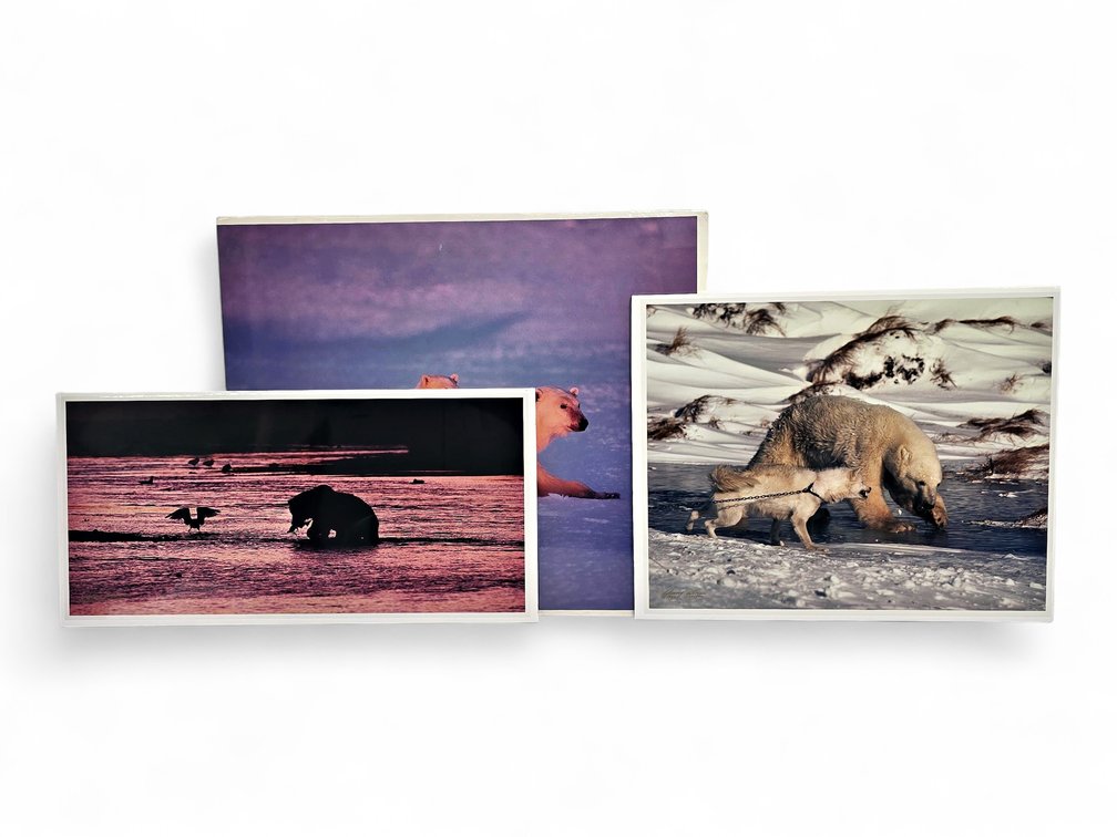 Johnny Johnson "River Dance", "Polar Dawn" & "Courage" Photographs