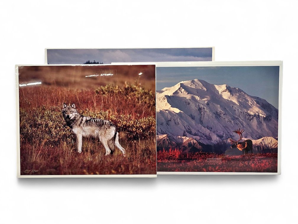 Johnny Johnson "Breach of Worlds", "First Light" & "Toklat" Photographs