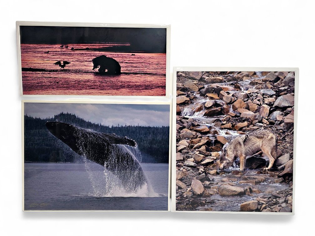 Johnny Johnson "River Dance", "Breach of Worlds" & "Unseen Presence" Photographs