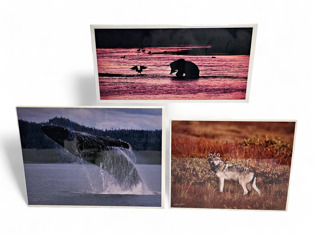 Johnny Johnson "River Dance", "Breach of Worlds" & "Toklat" Photographs