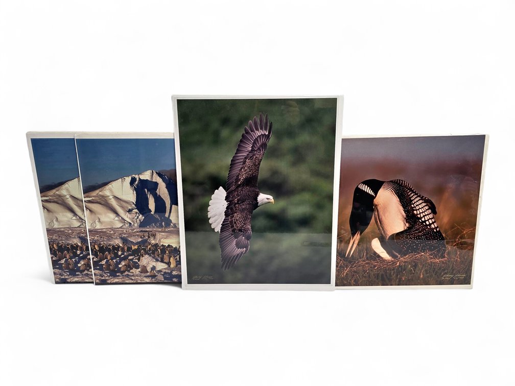 Johnny Johnson "Frozen Eden", "King of the Loons" & "Wind Dancer" Photographs